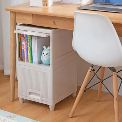 Multipurpose Wardrobe Storage Drawers (2 Layer)